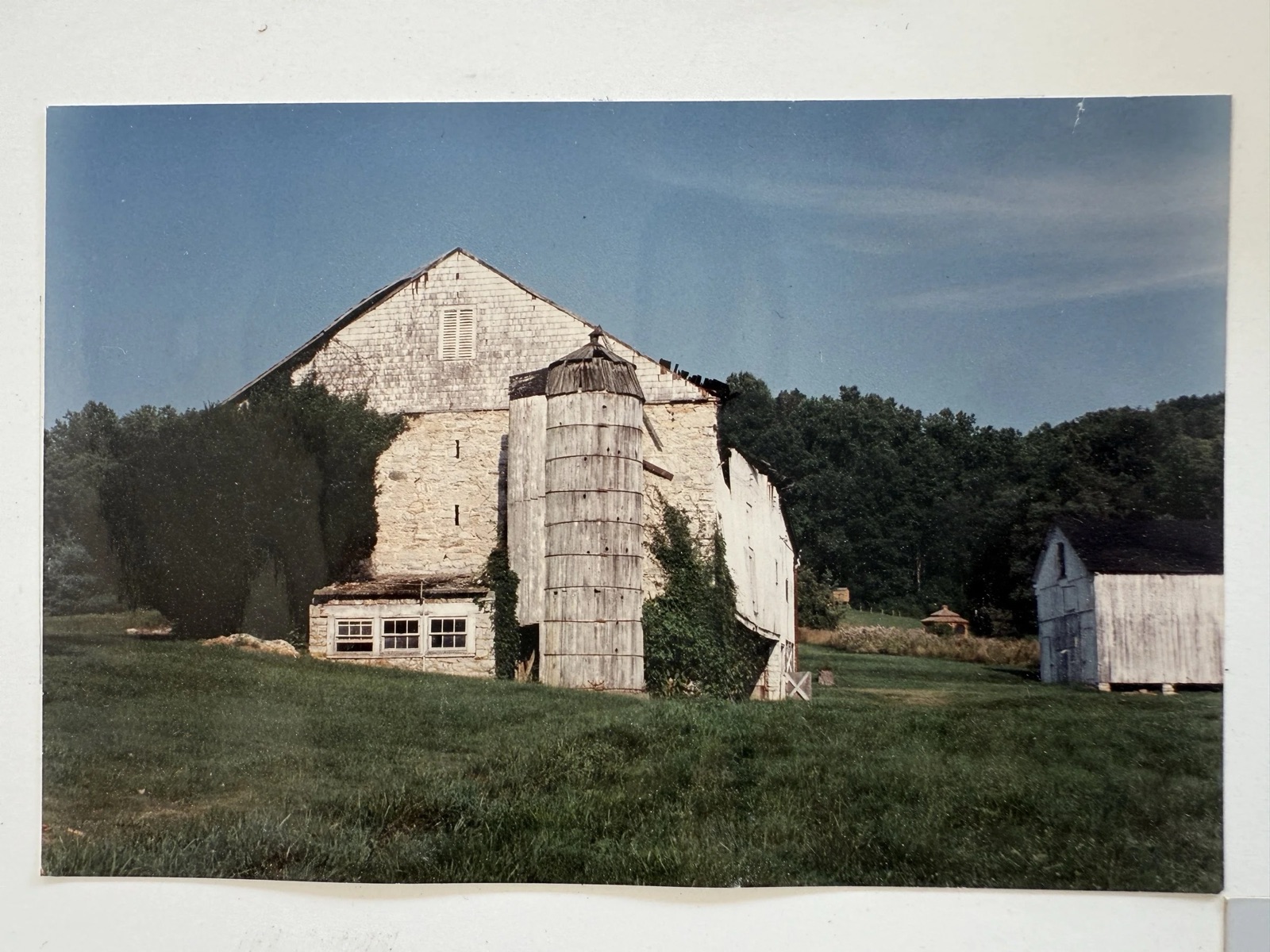 An old photograph of the stone bank barn and silo at Springlake, with a white outbuilding at right